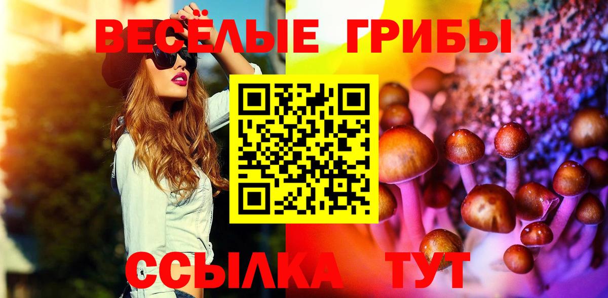 Псилоцибиновые грибы мицелий Когалым
